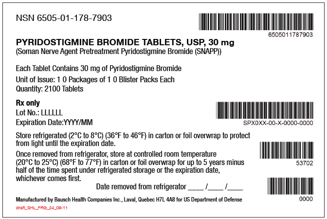 PRINCIPAL DISPLAY PANEL - 2100 Tablet Blister Pack Bag Label