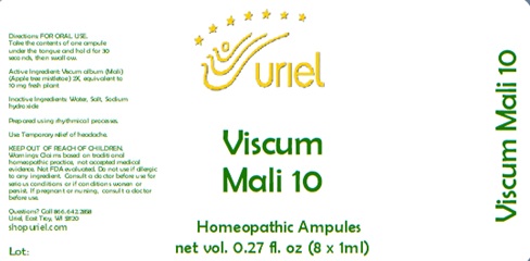 Viscum Mali 10 Ampules