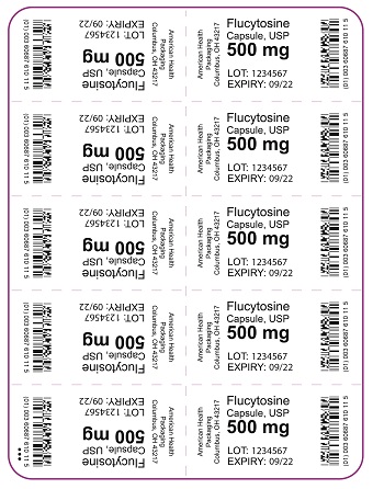 500 mg Flucytosine Tablet Blister