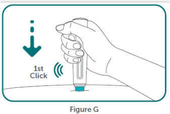 Figure G