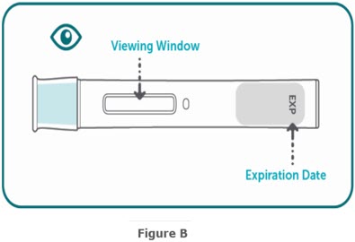 Figure B