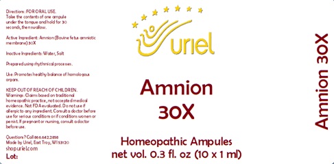 Amnion 30X Ampules