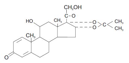 structure.jpg