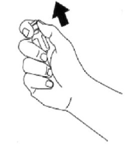 Figure B