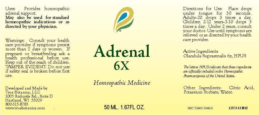 adrenal-6x