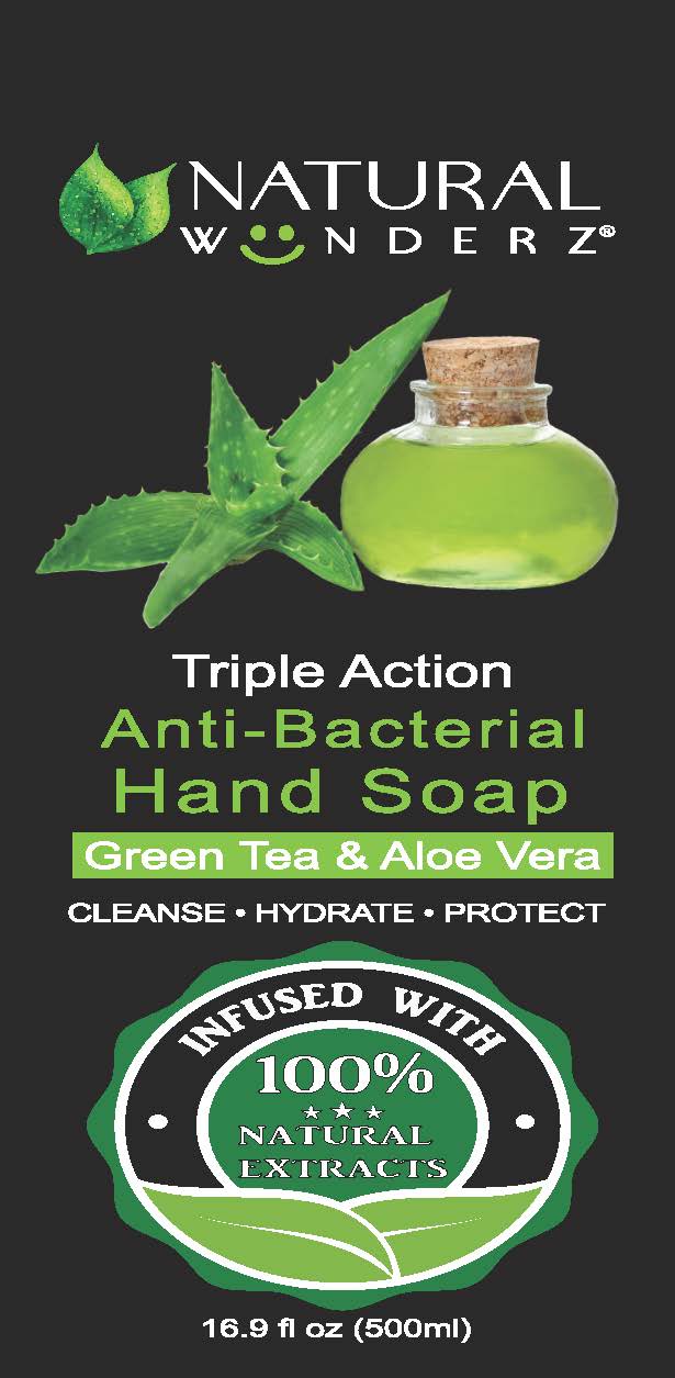 01b LBL_16oz Anti-Bacterial Hand Soap Green Tea & Aloe Vera (front)
