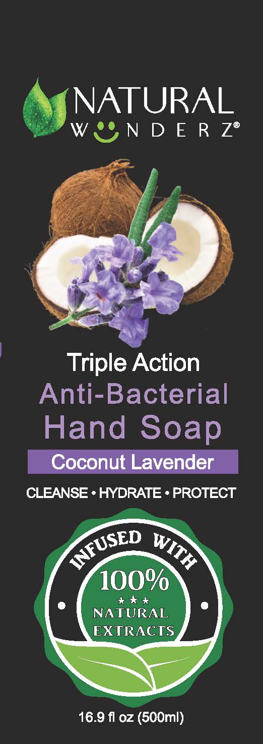 01b LBL_16oz Anti-Bacterial Hand Soap Lavender Coconut (front)