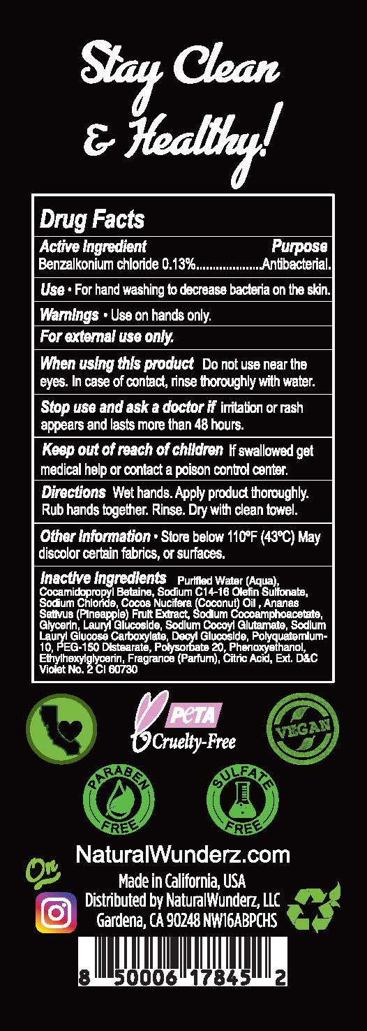 01b LBL_16oz Anti-Bacterial Hand Soap Pina Colada (back)