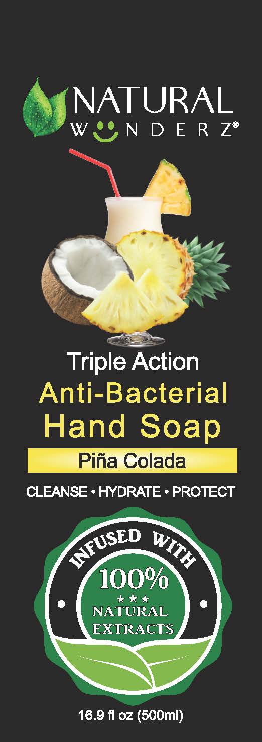 01b LBL_16oz Anti-Bacterial Hand Soap Pina Colada (front)