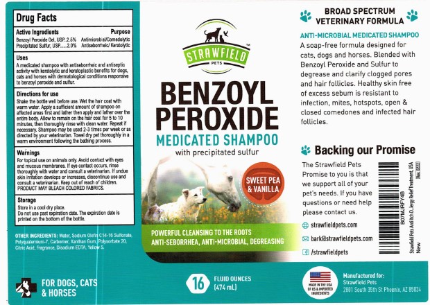 01b LBL_Benzoyl Peroxide Medicated Shampoo (AMZ)_474mL