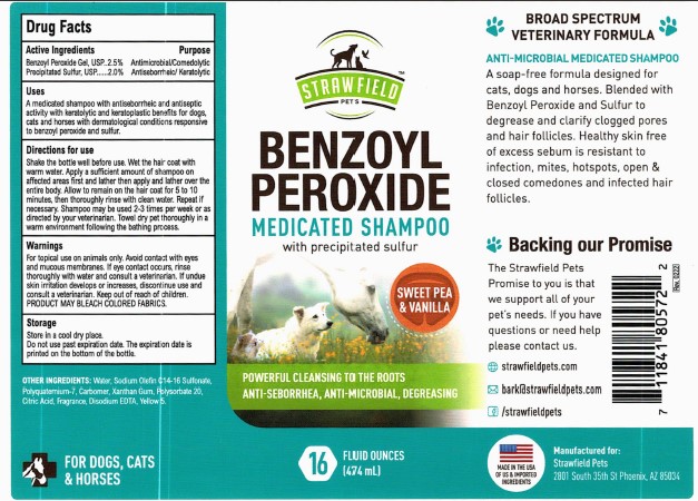01b LBL_Benzoyl Peroxide Medicated Shampoo (Reg)_474mL