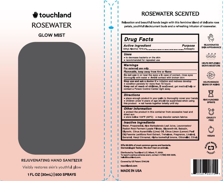 1b LBL_Touchland_Hand Sanitizer Mist_30ML.jpg