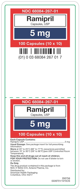 5 mg Ramipril Capsules Carton