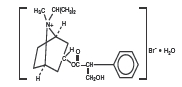ipratropium bromide monohydrate (structural formula)