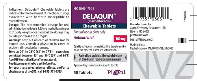 100 mg 50 Tablets