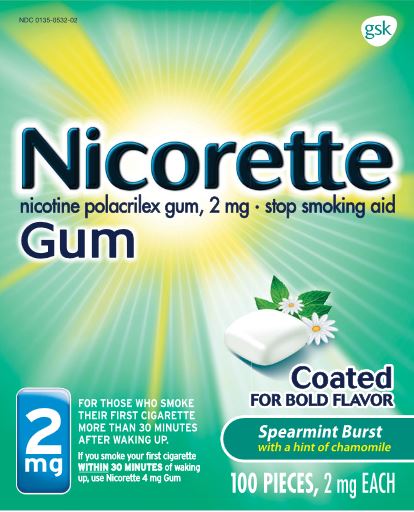 101782XC_Nicorette Spearmint Burst gum 2 mg_100 ct.JPG