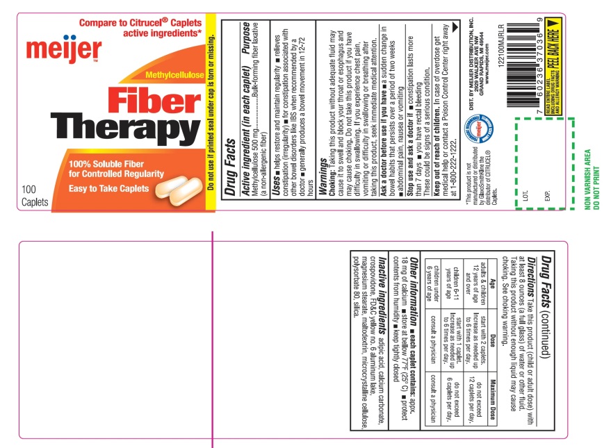 meijer fiber therapy methylcellulose 100 Caplets