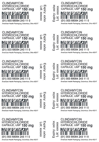 150 mg Clindamycin HCL Capsules 100UD Blister