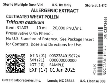 1567-2_Cultivated Wheat_20000-pnu