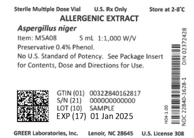 1628-1_Aspergillus niger_1000-wv