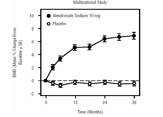 Osteoporosis Treatment Studies in Postmenopausal Women Time Course of Effect of Alendronate Sodium 10 mg/day Versus Placebo: Lumbar Spine BMD Percent Change From Baseline