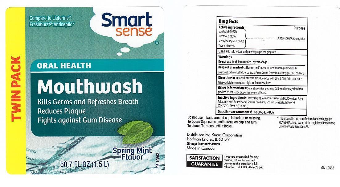 Smart Sense Spring Mint | Eucalyptol, Menthol, Methyl Salicylate, Thymol Liquid Breastfeeding
