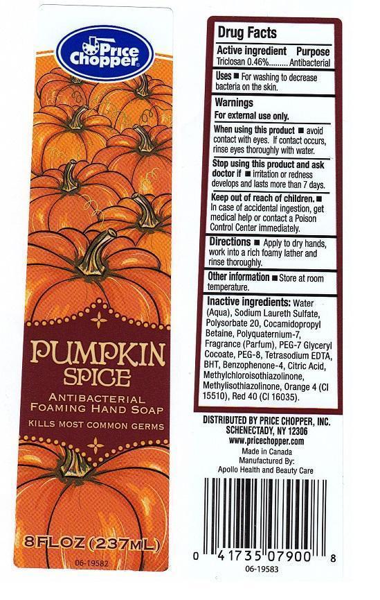 Price Chopper Pumpkin Spice Antibacterial Foaming | Triclosan Liquid while Breastfeeding
