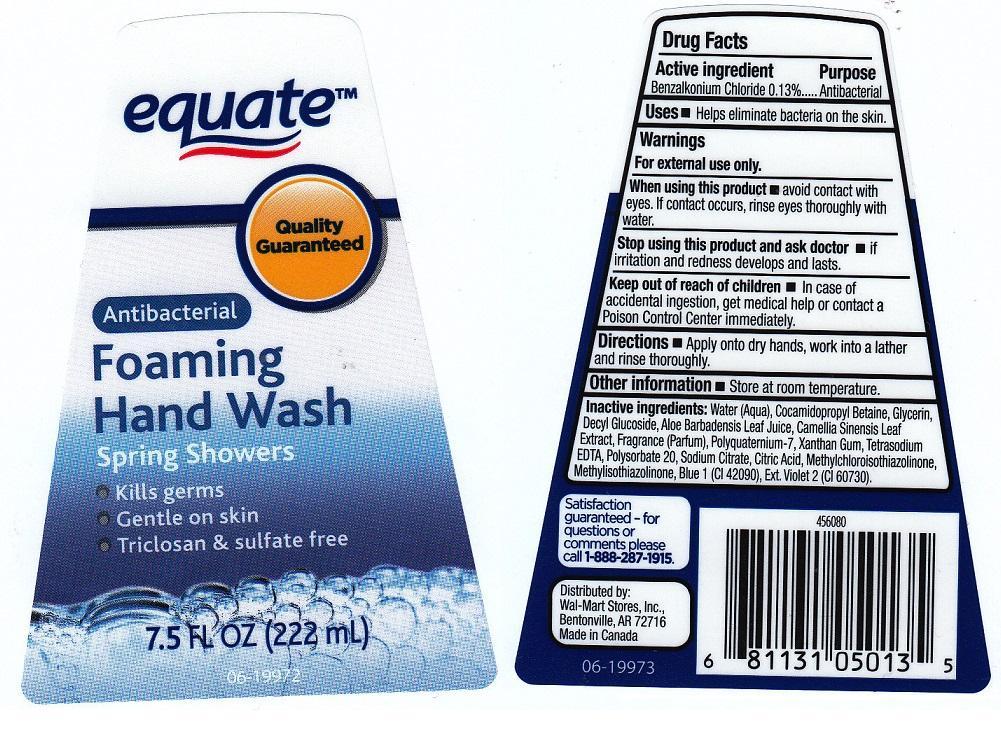 Equate Antibacterial Foaming Hand Spring Showers | Benzalkonium Chloride Liquid Breastfeeding