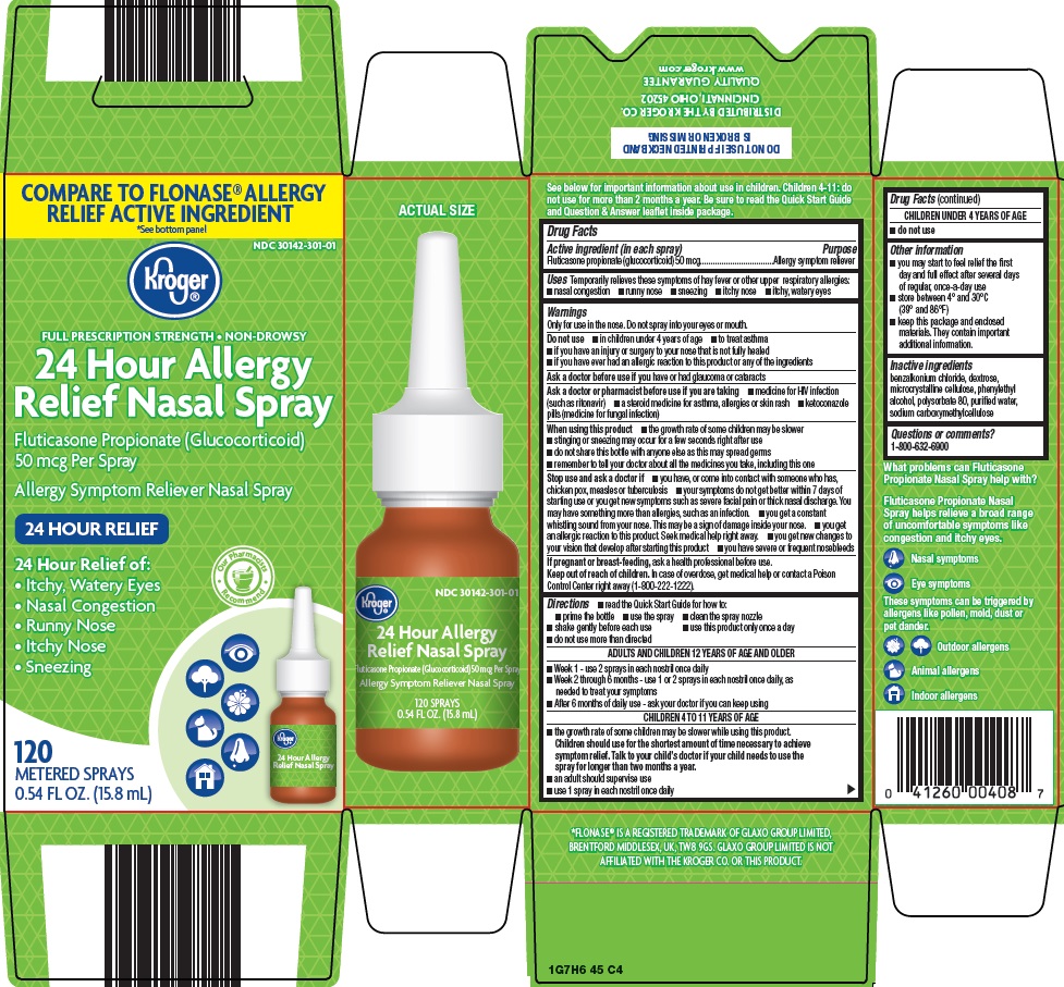 24 hour allergy relief nasal spray image