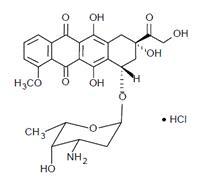 Doxorubicin Hydrochloride