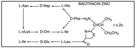 Fera Pharmaceuticals Bacitracin Zinc Structural Formula