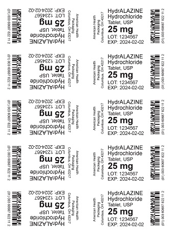 25 mg Hydralazine HCl Tablet Blister