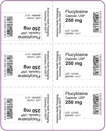 250 mg Flucytosine Capsule Blister