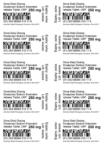 250 mg Divalproex Sodium Extended-release Tablet Blister