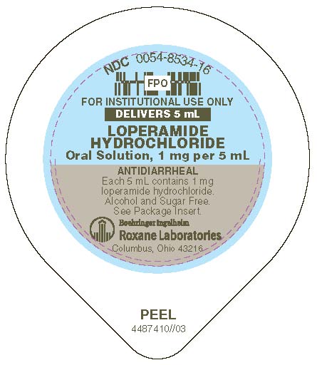 Loperamide Hydrochloride Loperamide Hydrochloride 1 Mg while Breastfeeding