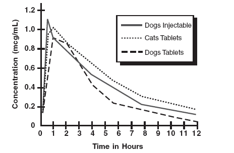 Figure 1 - Following a Single Oral or Intramuscular Dose at 2.5 mg/kg in Dogs and a Single Oral Dose at 2.5 mg/kg in Cats.
