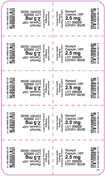 2.5 mg Ramipril Capsule Blister