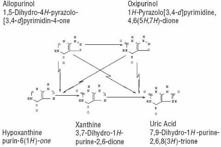Image of Allopurinol, Oxipurinol, Hypoxanthine, Xanthine, and Uric Acid formulas.