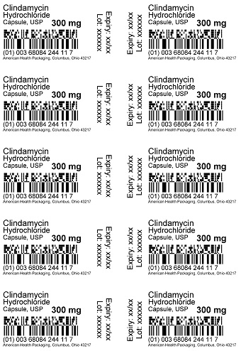 300 mg Clindamycin HCL Capsules 100UD Blister