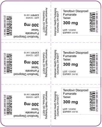 300 mg Tenofovir Disoproxil Fumarate Tablet Blister