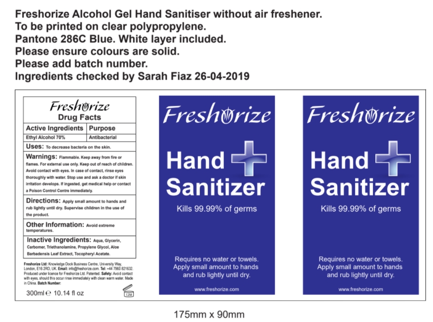 300 ml Hand Sanitizer