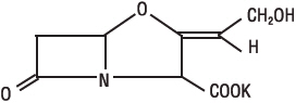 amoxicillin-02