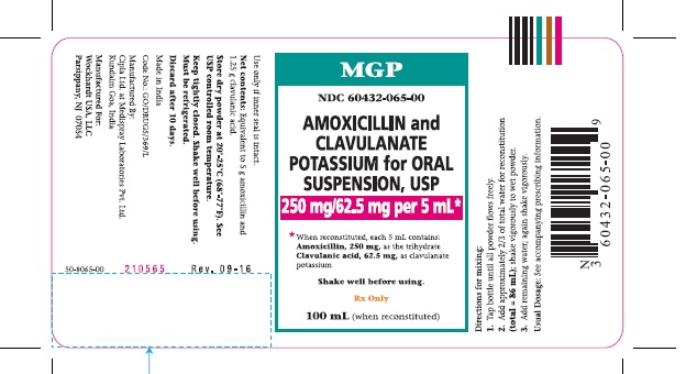 amoxicillin-03