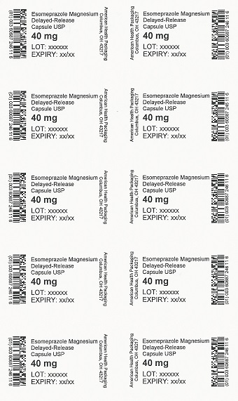 40 mg Esomeprazole Mg DR Capsule Blister