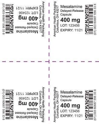 400 mg Mesalamine DR Capsules Blister