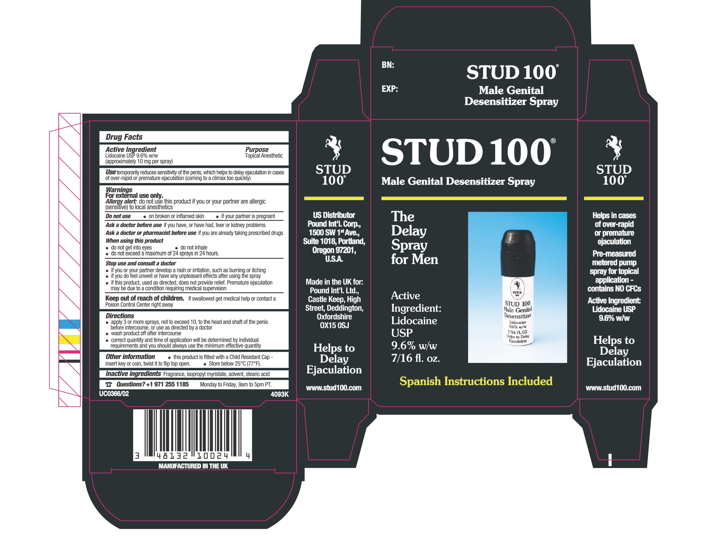 Carton Stud 100