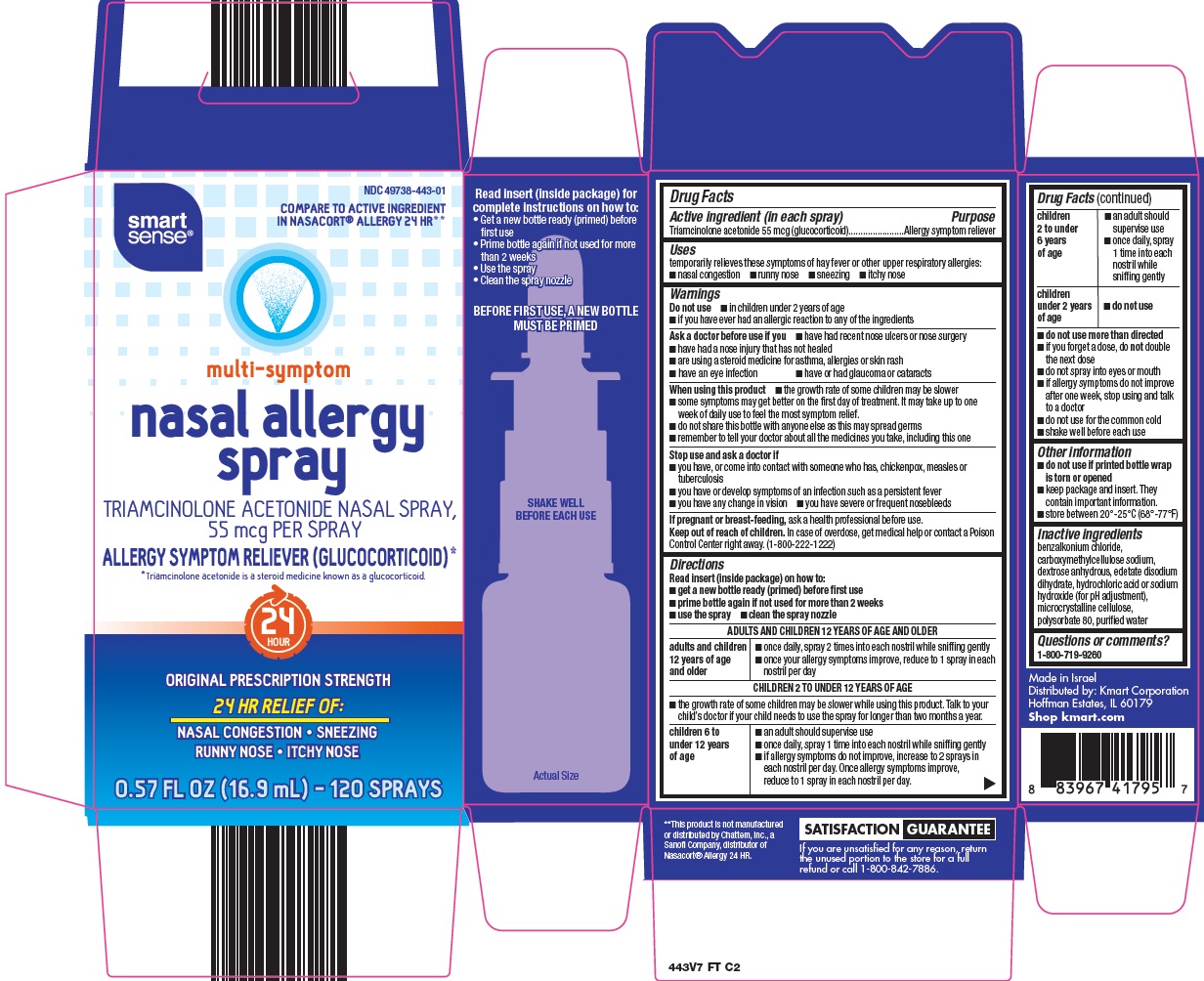 Smart Sense Nasal Allergy | Triamcinolone Acetonide Spray, Metered Breastfeeding