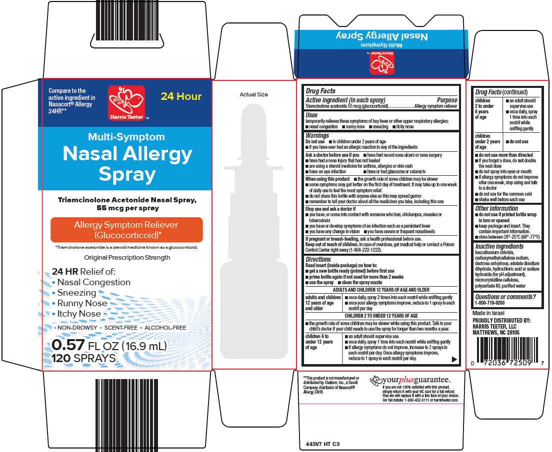 nasal-allergy-spray-image