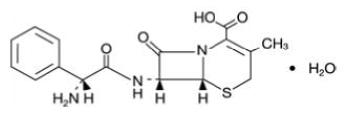 cephalexin structural formula