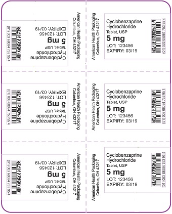 5 mg Cyclobenzaprine Hydrochloride Tablet Blister - 6 UD